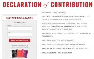 Declaration of Contribution