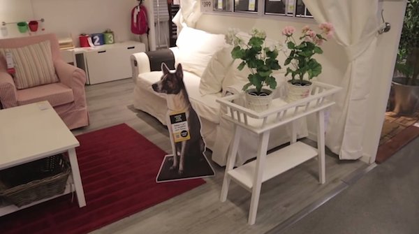 WOM Tip: IKEA loves dogs
