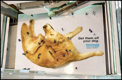 Flea & Tick spray ad